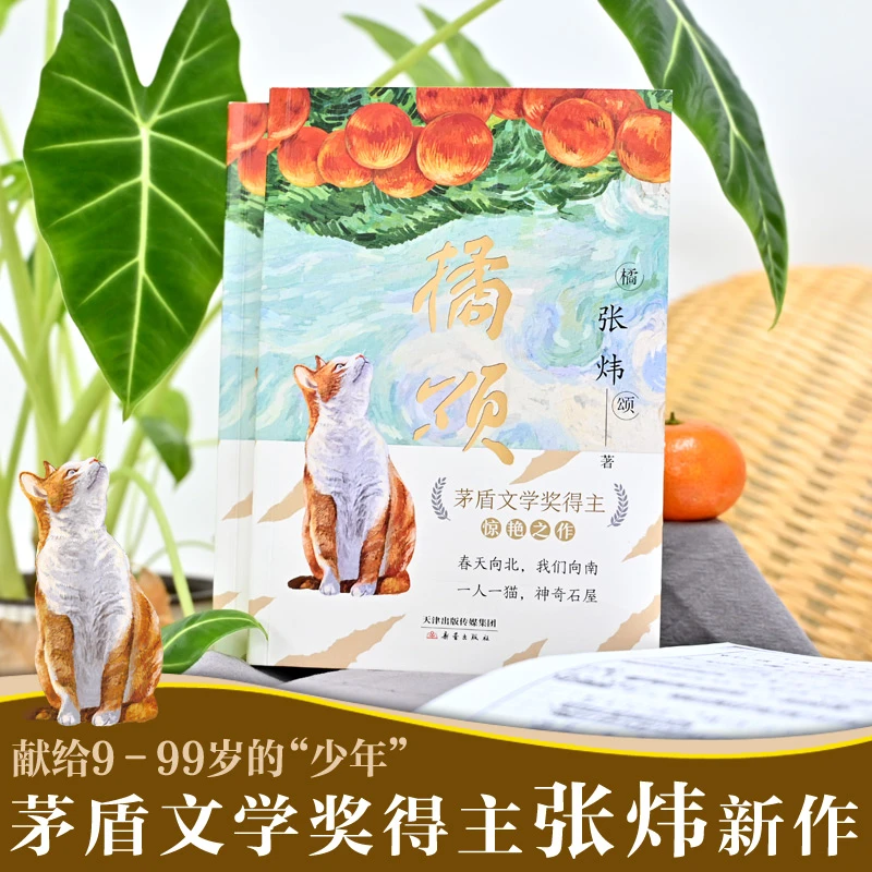 橘颂 茅盾文学奖得主张炜  小学生探险故事儿童文学课外阅读书籍
