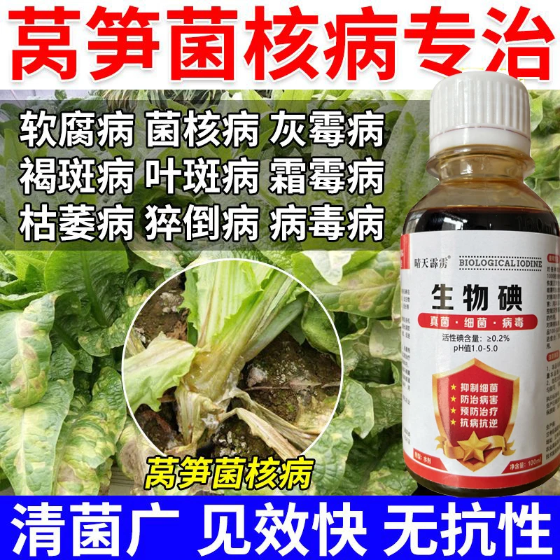 莴笋专用药莴笋软腐病菌核病叶斑病灰霉病根腐病病毒病专用叶面肥