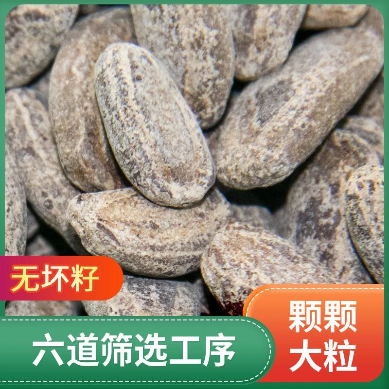 新货精选吊瓜子特产奶油味颗粒饱满坚果炒货批发椒盐原味非瓜蒌籽