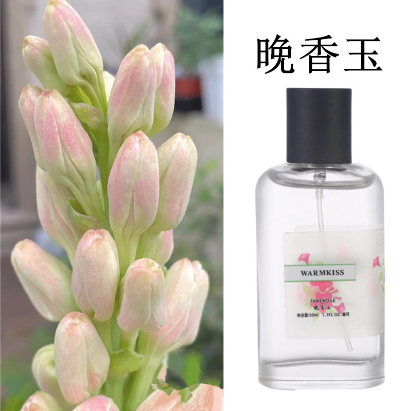 晚香玉木兰花紫罗兰苹果汁青提男女士香水清新自然持久留香学生