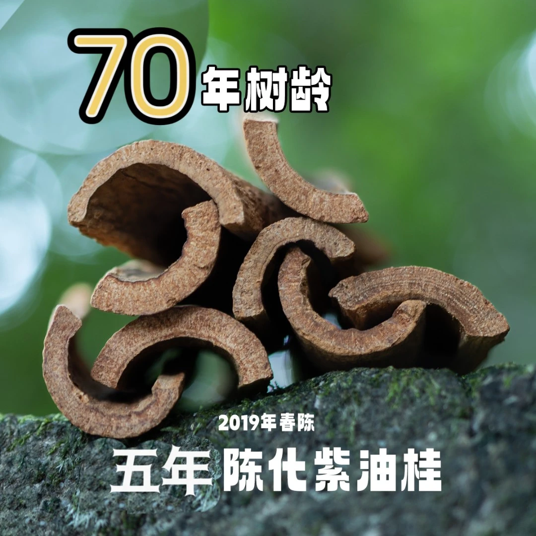 五年陈化老树紫油桂片 天然肉桂香氛片 七十年以上树龄高山紫油