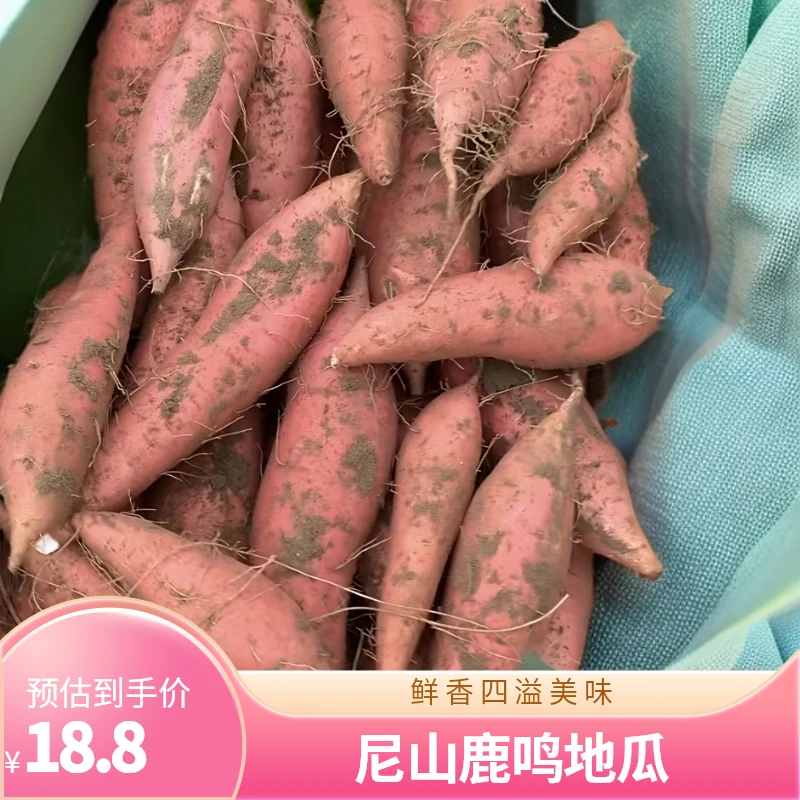 正宗烟薯25红心流油流蜜烤地瓜专用鲜食蜜薯基地自产山东农家