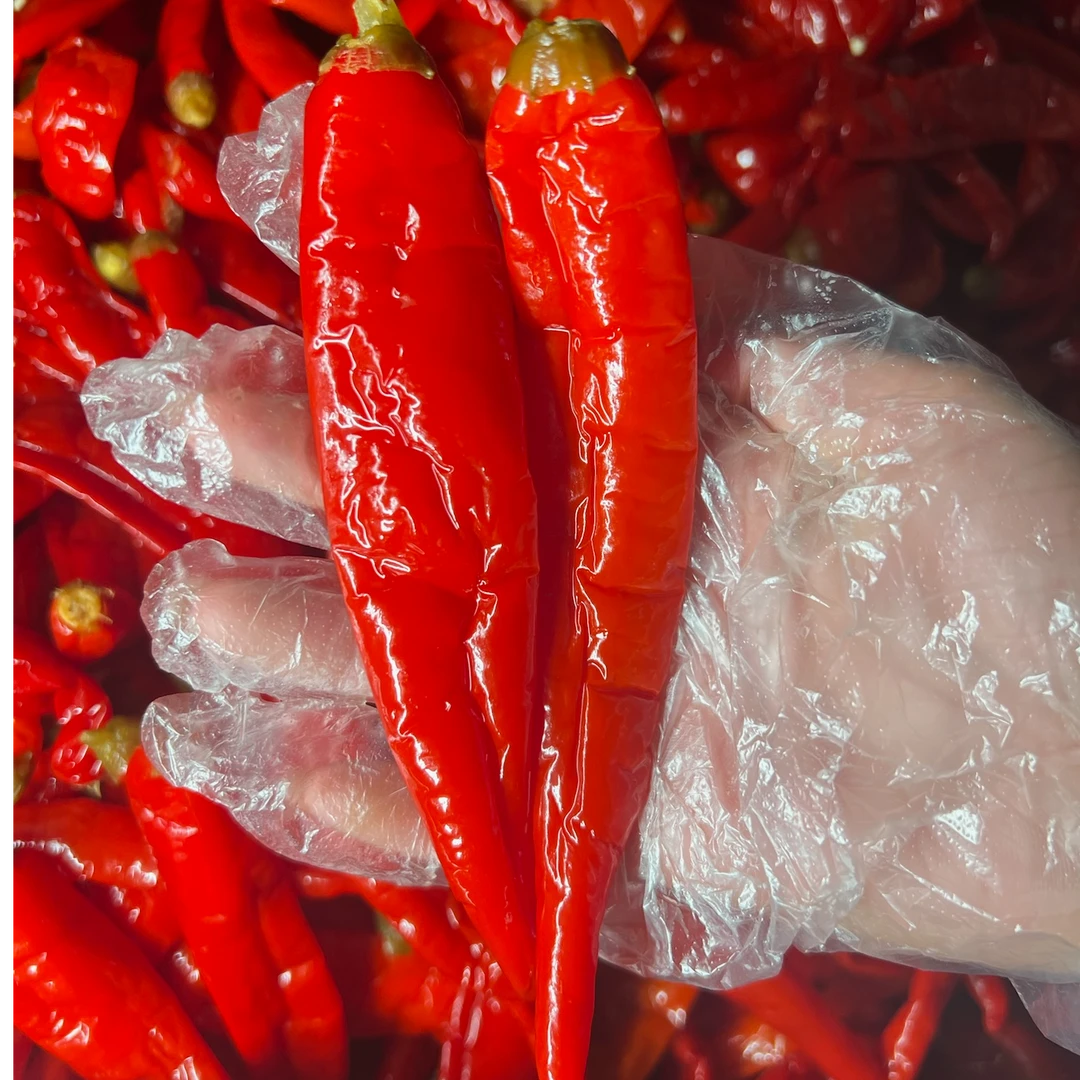 【老坛酸辣椒】新鲜红泡椒味道鲜美本地红辣椒好吃酸辣种植