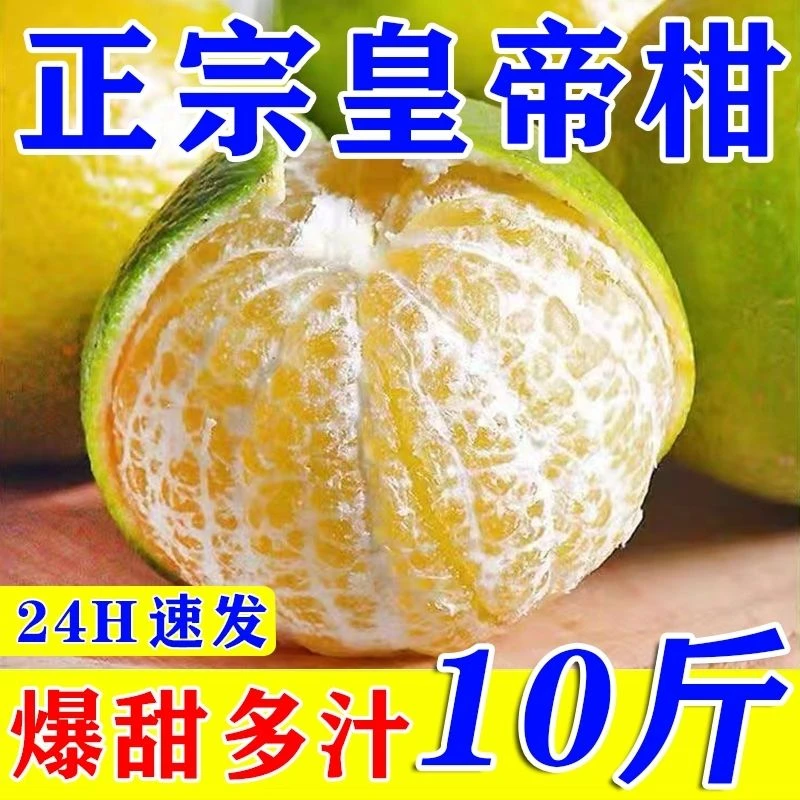 正宗皇帝柑薄皮新鲜贡柑桔子无籽现摘应季水果柑橘整箱包邮甜橘子