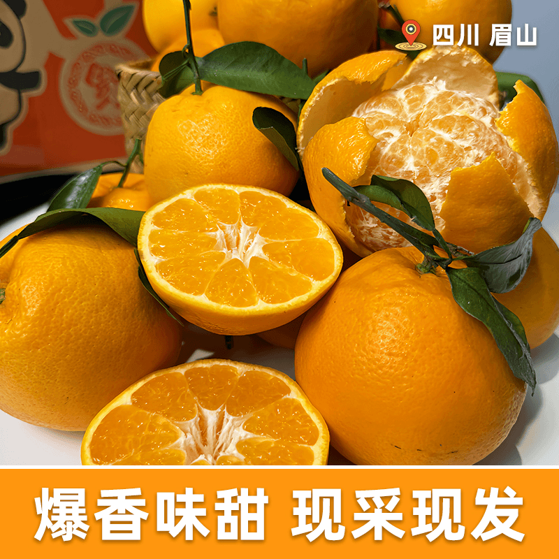 【星选】四川特级新鲜甜桔子春见耙耙柑香甜多汁现摘现发整箱包邮
