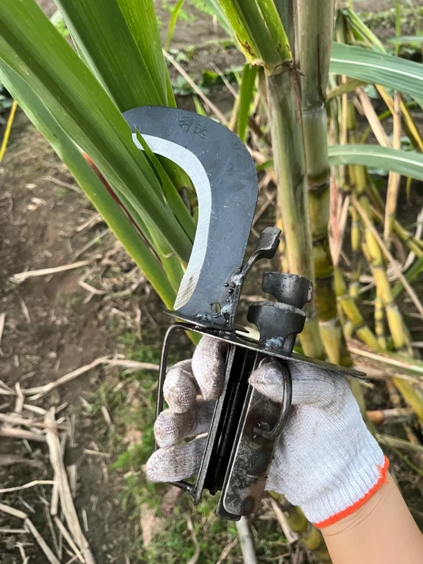 新型砍甘蔗剥叶专用镰刀砍甘蔗快速剥叶推叶神器收甘蔗农用多用刀