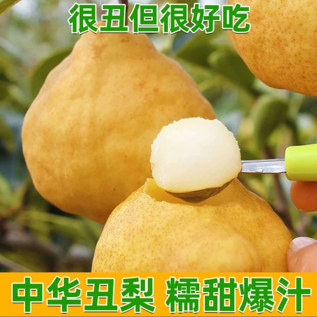 冰激凌口感即食中华丑梨多汁山东烟台新鲜软糯冻梨秋月成熟大个