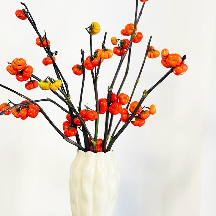 观赏小南瓜鲜花鲜切枝40左右高真花插花水培鲜切花南瓜树花束鲜花