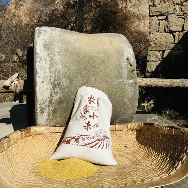 【陕北圆圆】石碾油小米黄小米