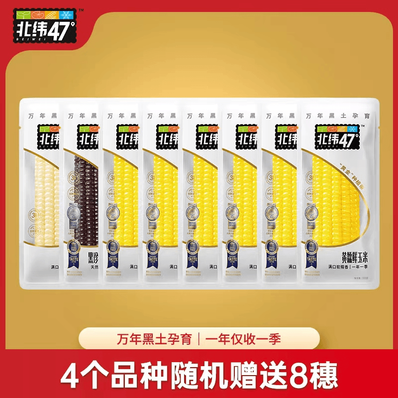 随机8穗玉米