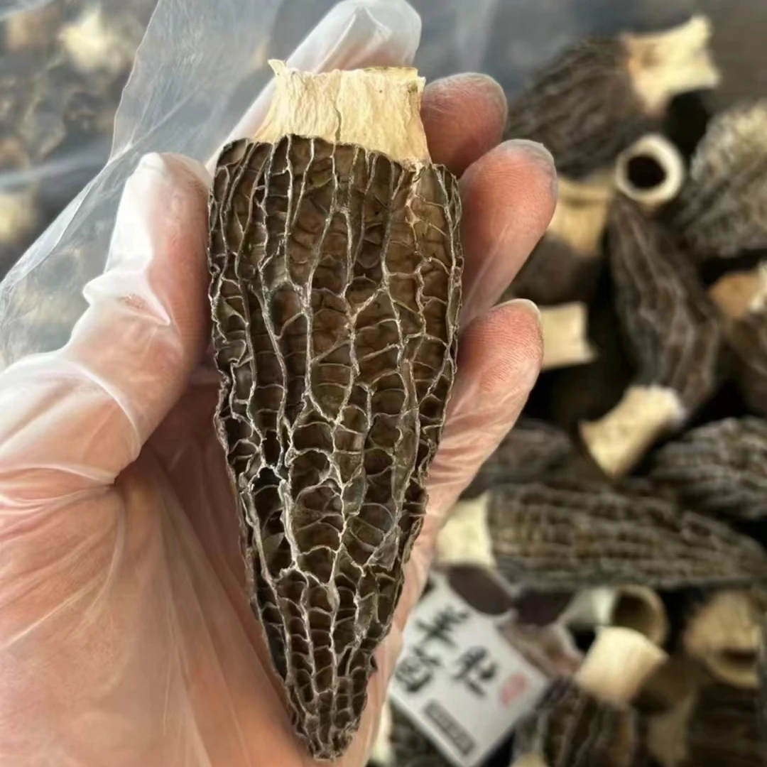 云南精选头茬羊肚菌 50g煲汤炒菜涮火锅精品食材