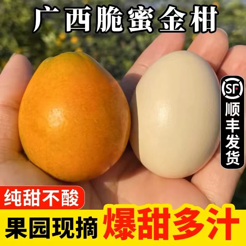 广西融安脆蜜金柑金桔第三代纯甜纯甜皮薄现摘现发新鲜水果