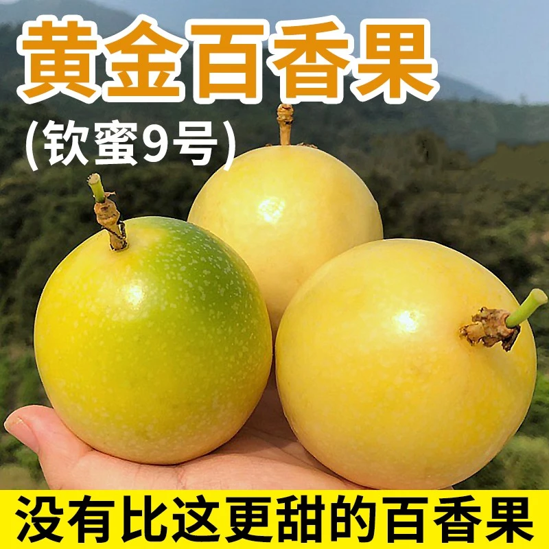 Z广西正宗钦蜜9号特级黄金百香果新鲜现摘现发纯甜孕妇水果香甜邹