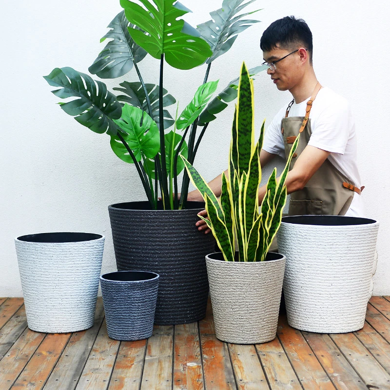 客厅向日葵北欧风简约天堂鸟花盆塑料花盆萝藦盆栽雪柳山茶花