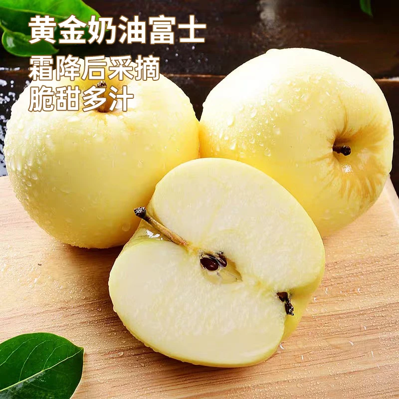 2024山东烟台黄金奶油富士苹果产地直发新鲜脆甜多汁净重4.5斤