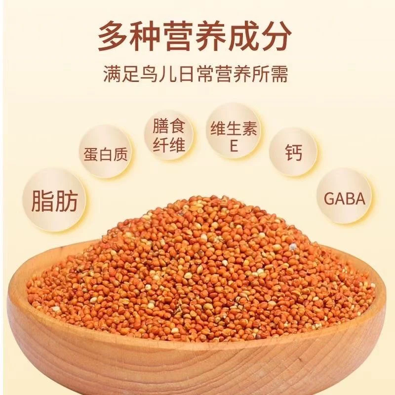 雪鸽专用红谷子黄谷子带壳小米粟谷玄凤虎皮虎皮鹦鹉专用鸟粮