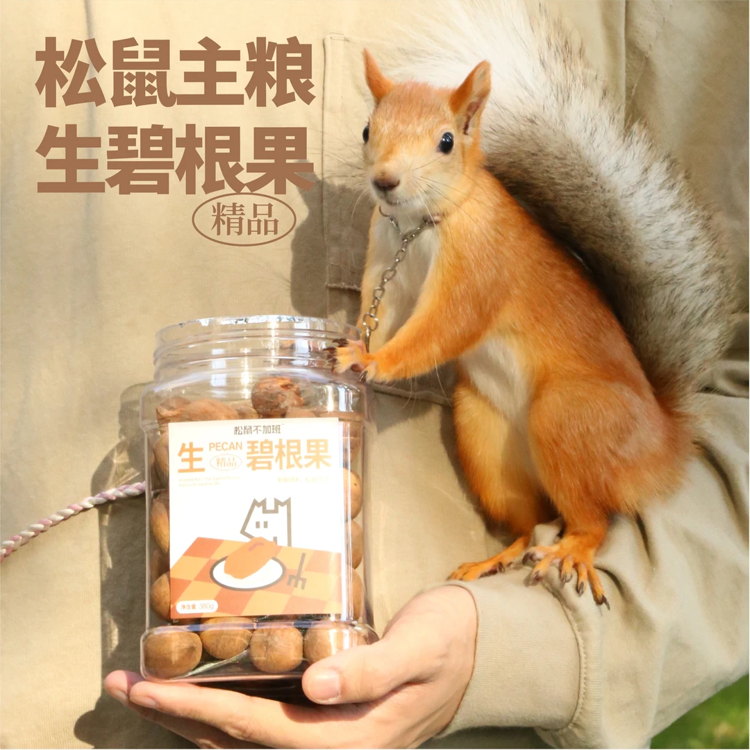 北美碧根果 松鼠优选 无添加营养磨牙 生料松鼠粮食饲料 kk小松鼠