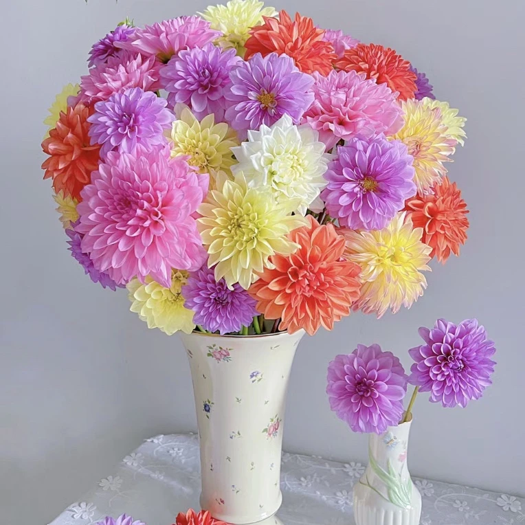 加购 花曼【混色大丽花】家用鲜花/花束   满足包邮条件再拍加购