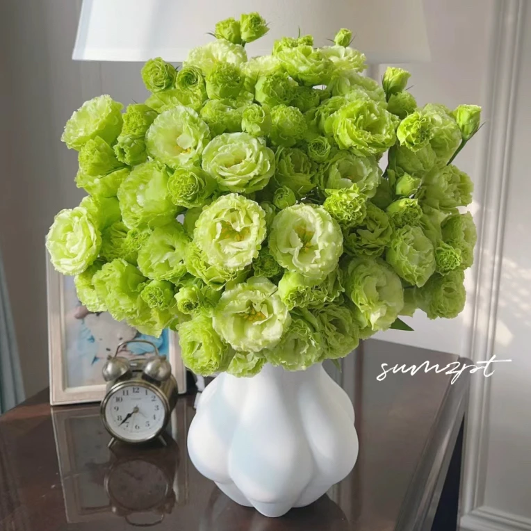 【波浪翠绿 洋桔梗】家用鲜花/花束   云南鲜花基地直发