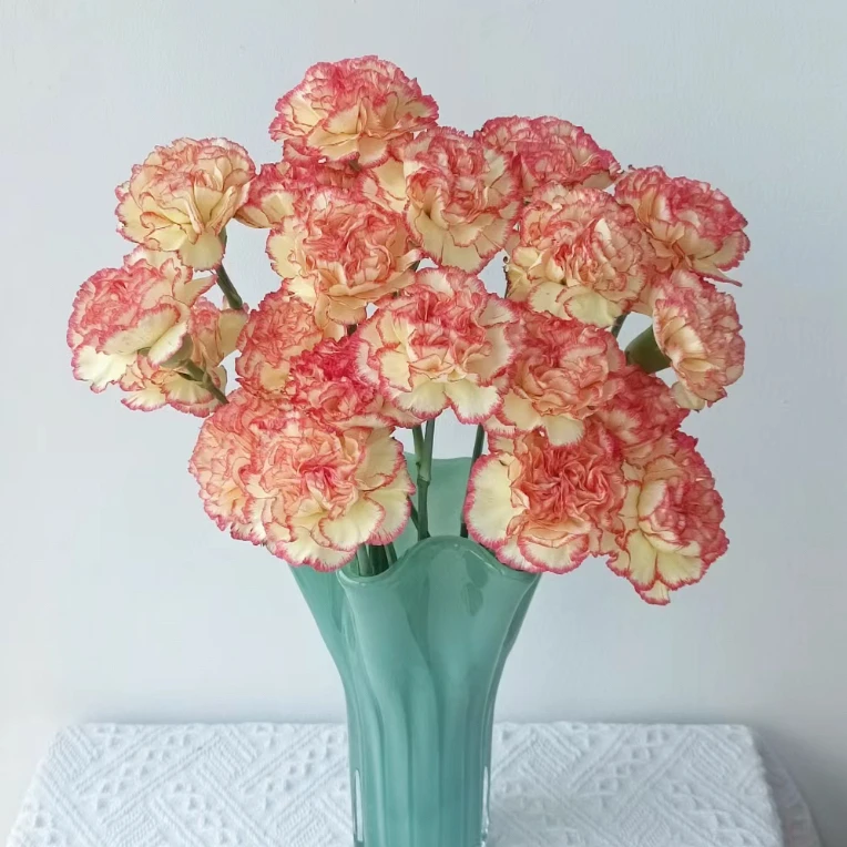 【俏新娘】康乃馨家用鲜花/花束   云南鲜花基地直发