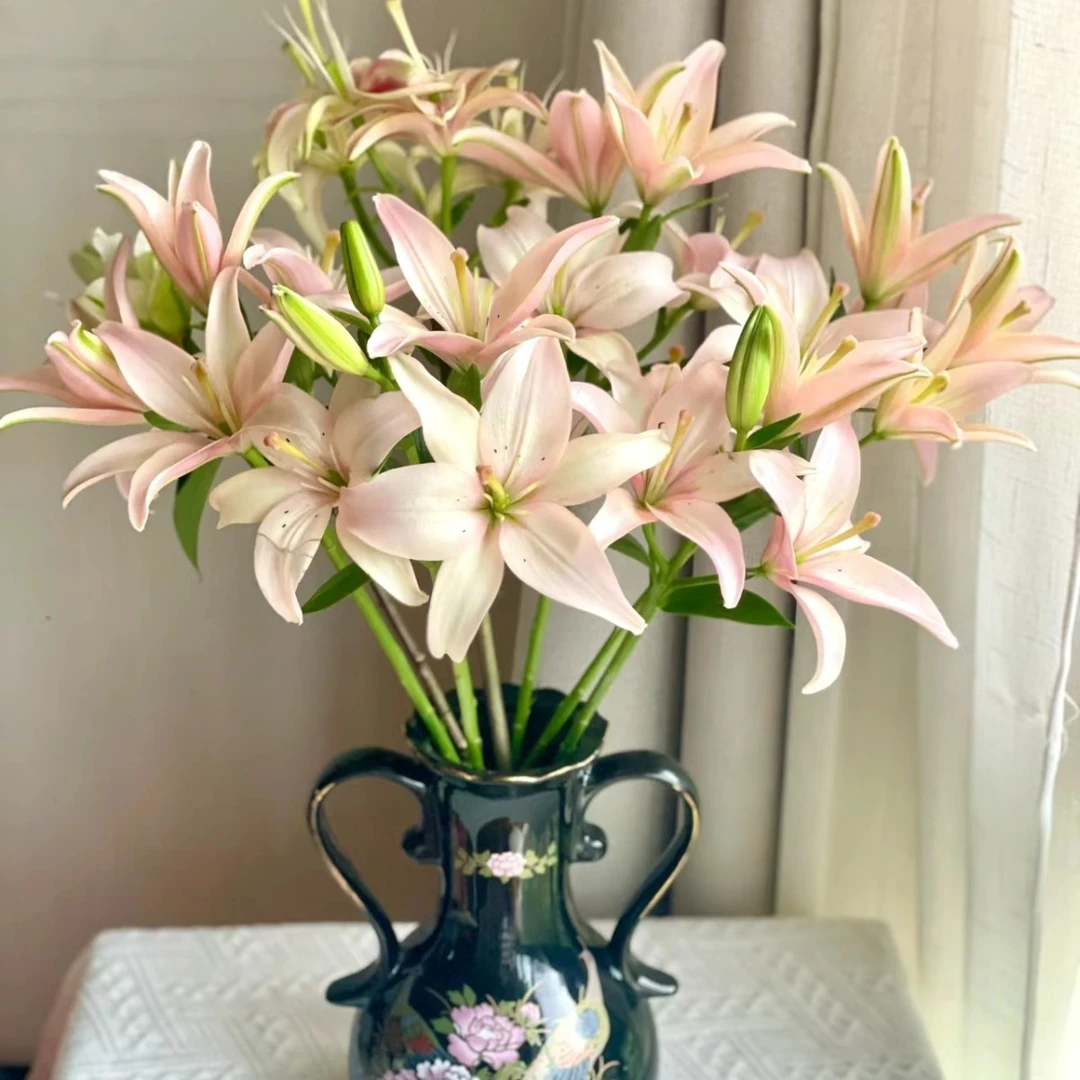 【华尔兹】亚百合家用鲜花/花束   云南鲜花基地直发