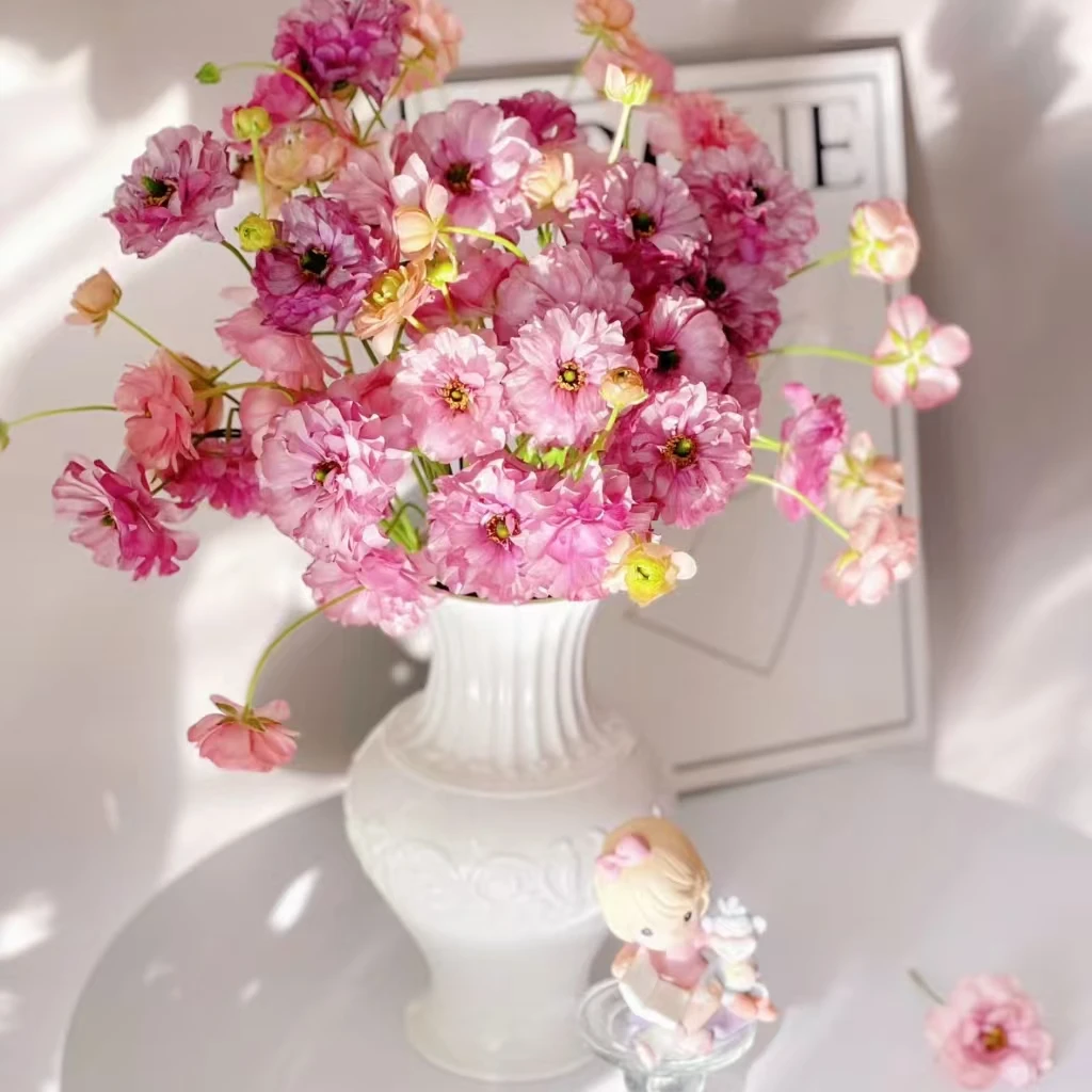 裕旭【紫蝴蝶洋牡丹】洋牡丹家用鲜花/花束 云南鲜花基地直发