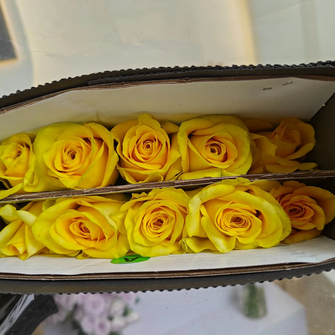 【花之海测试黄单头】玫瑰鲜花/花束 云南鲜花基地直发