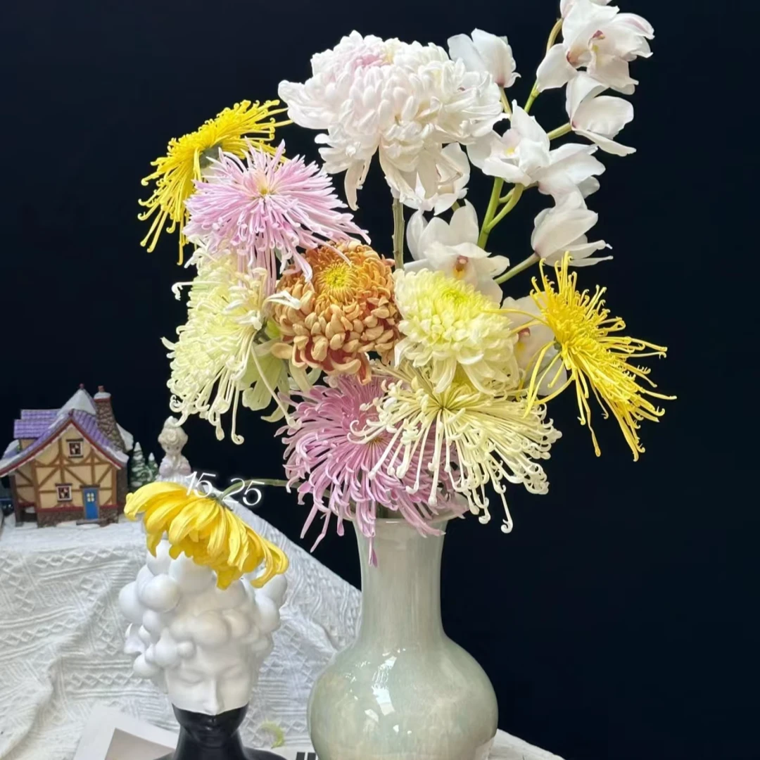 【任意5枝大菊】小盒 大菊鲜花/花束 拍下顺丰冷链包邮