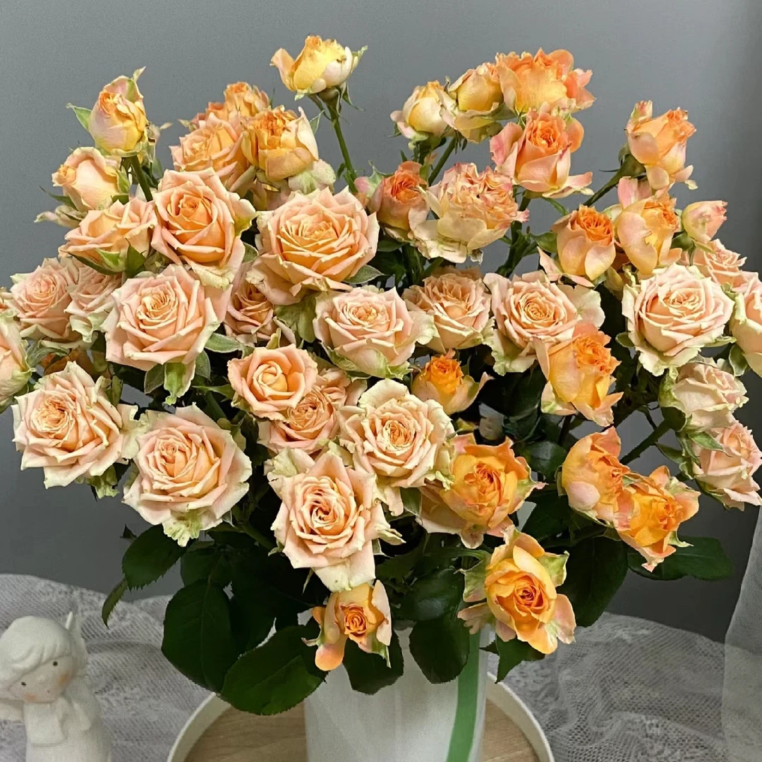 【蟹黄酥】玫瑰鲜花/花束 云南鲜花基地直发