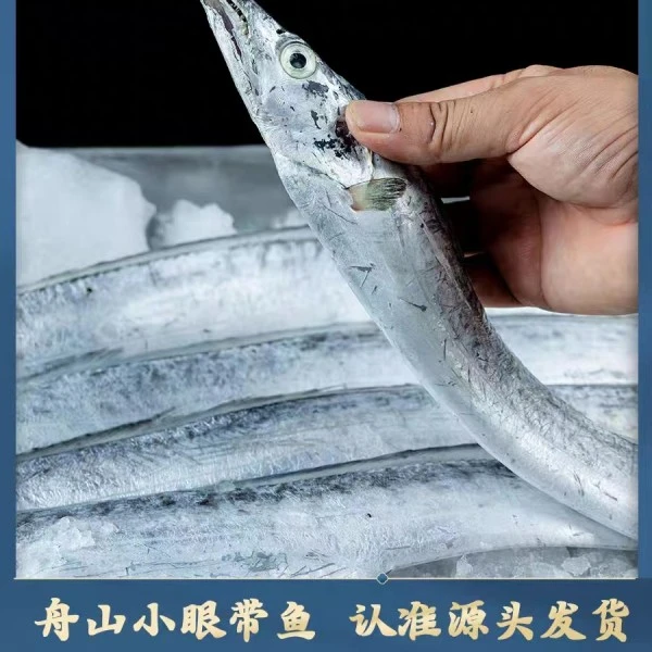 【舟山直发】舟山油带鱼