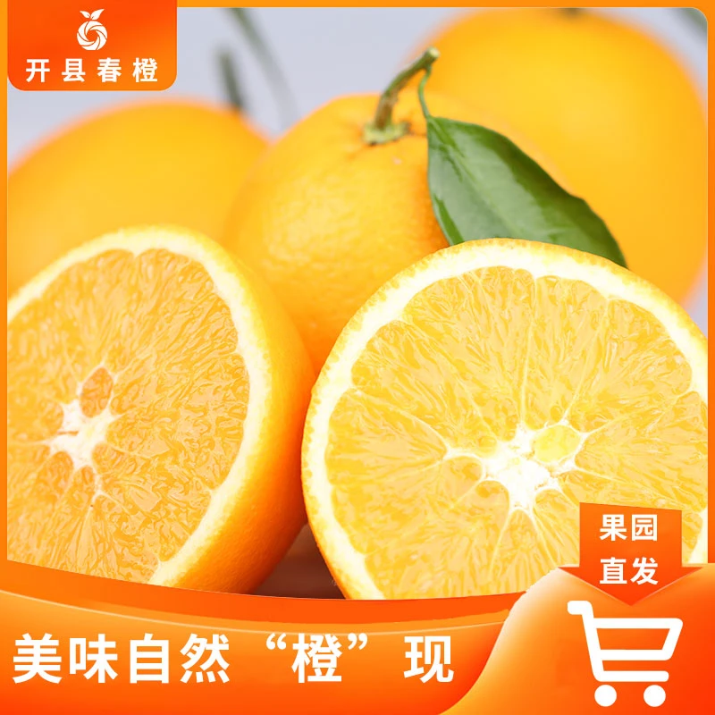 【果园直发】高山脐橙自然种植新鲜大果香甜多汁皮薄果肉饱满橙子