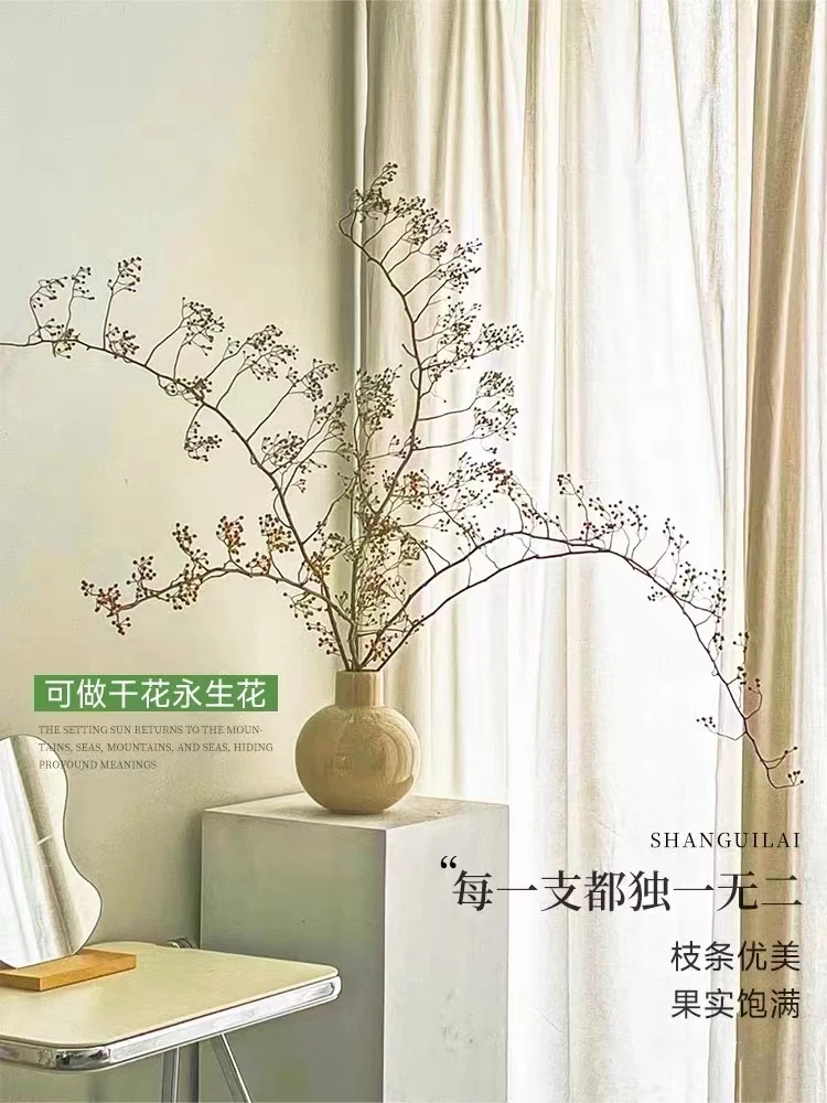 山归来蔷薇果鲜切支水培水养可做红色干花永生侘寂风寂侘软装布景