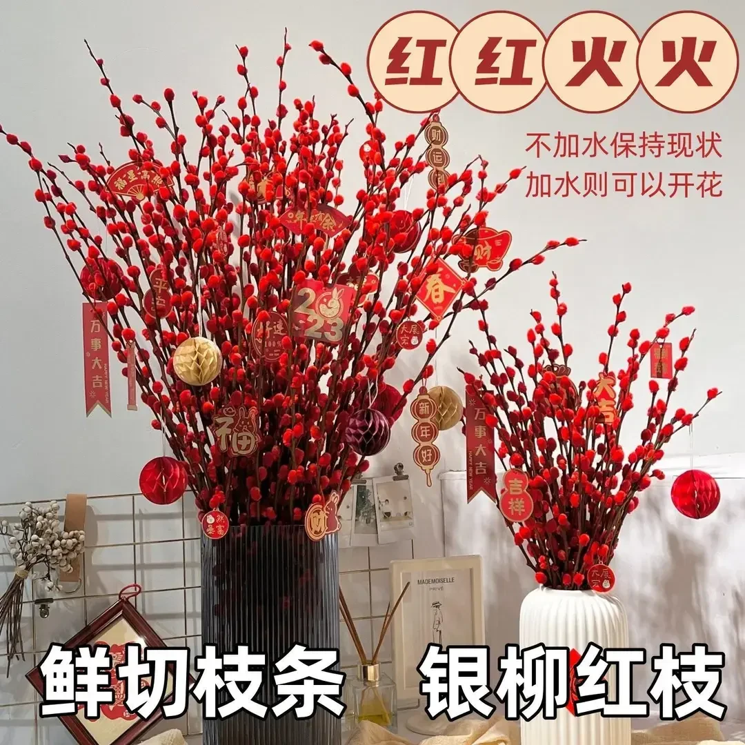 【鲜切银柳】银柳真花鲜枝红色喜庆干花耐寒花卉好养活室内新春精选