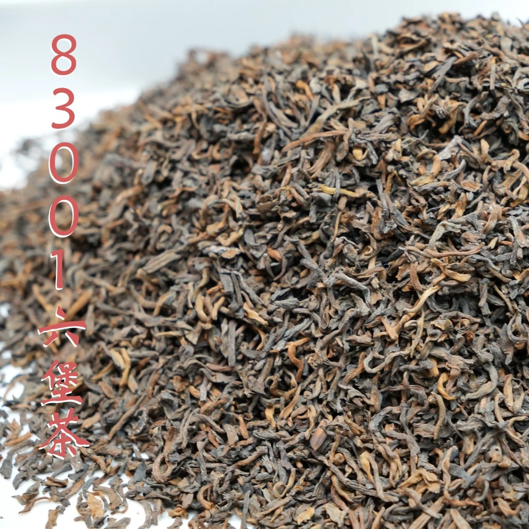（250克）八十年代 83001六堡茶 参香、药香 六通六堡茶