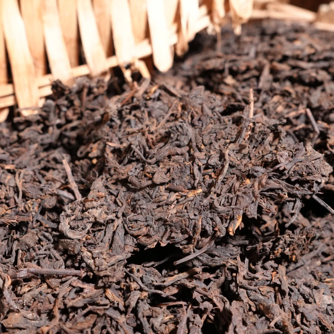 （500克）九十年代老六堡茶箩茶 分装  六通六堡茶