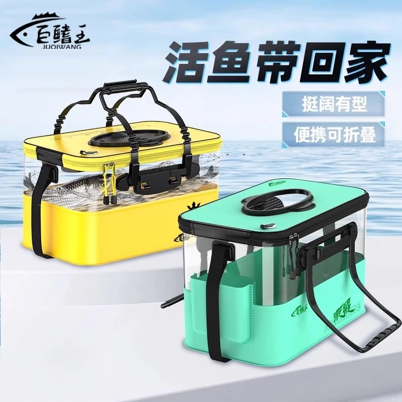多功能活鱼桶鱼箱钓鱼水桶折叠透明装鱼桶专用加厚路亚鱼护桶
