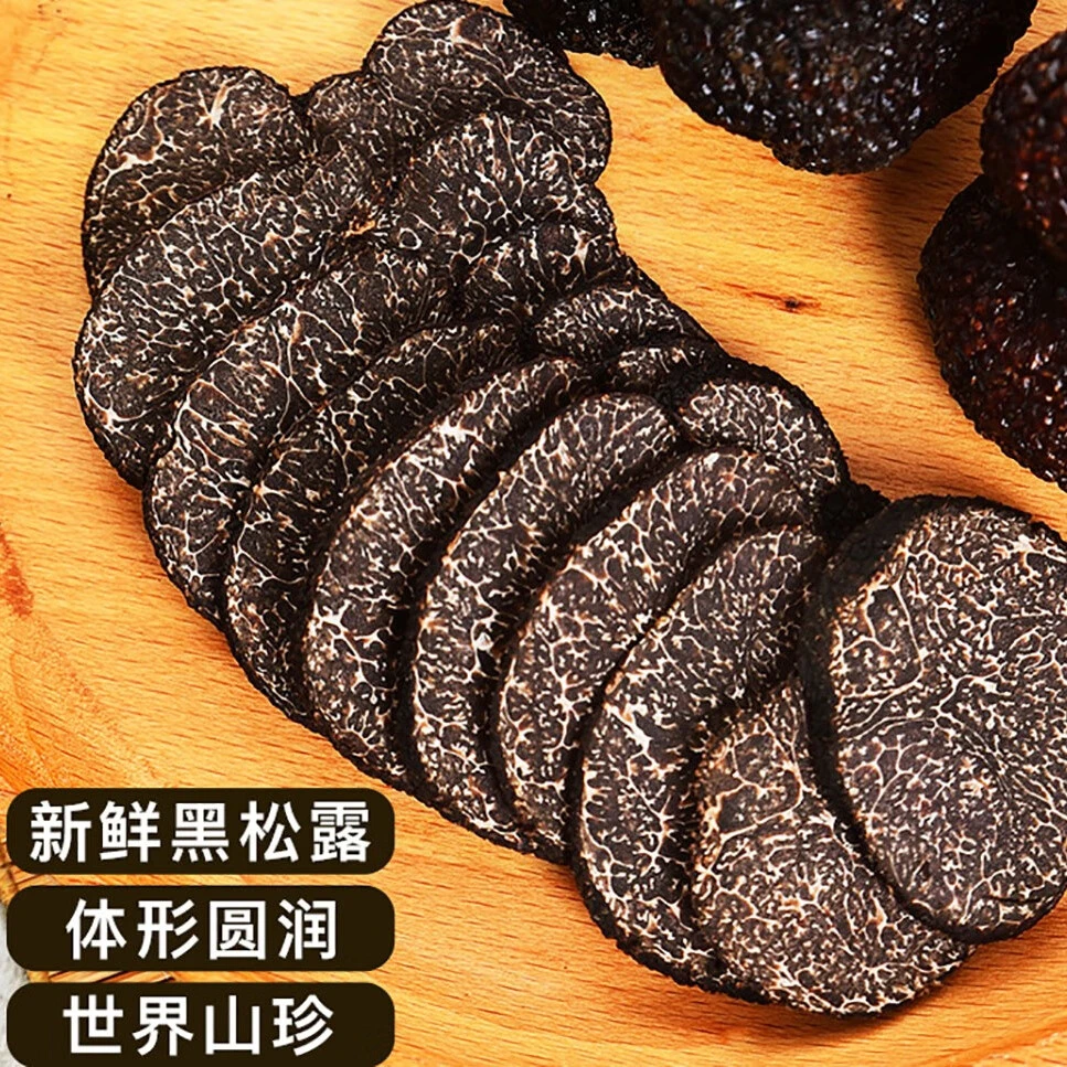 云南野生新鲜黑松露 猪拱菌野生块菌滋补营养煲汤 顺丰空运包邮