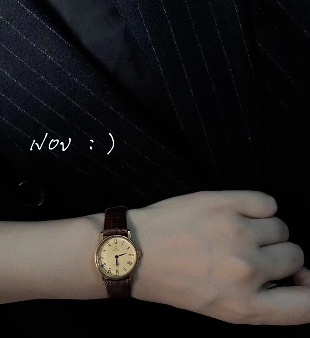 95新 Omega/欧米茄 欧米/咖皮表带圆盘手表