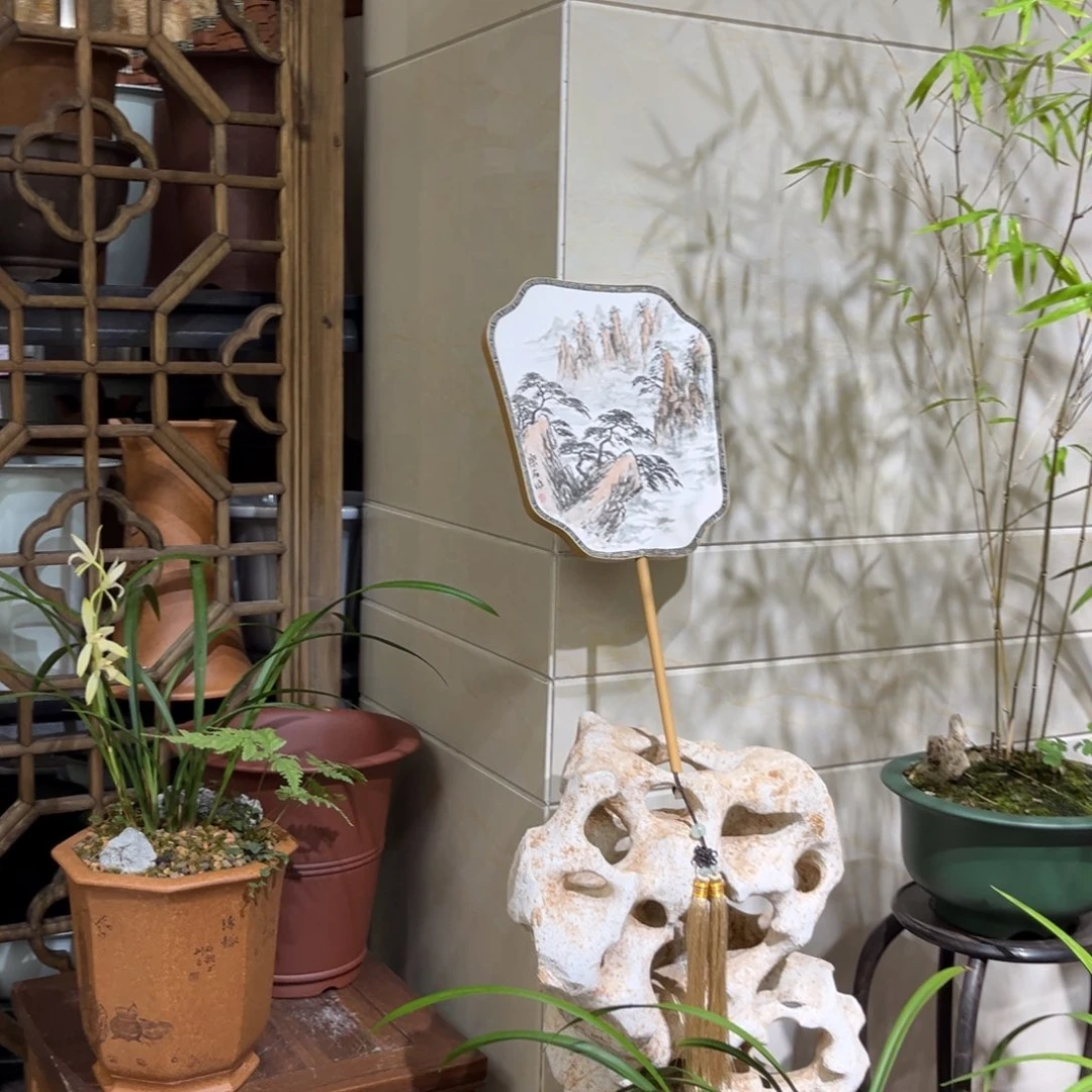 紫砂20CM（含）-50CM（不含）熊*墨