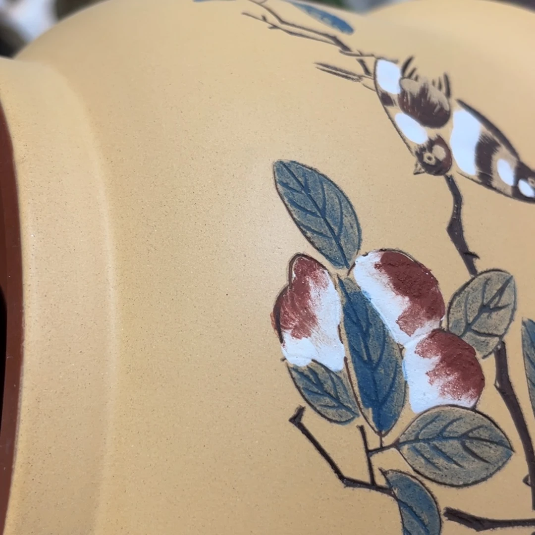 紫砂20CM（含）-50CM（不含）他****瓜