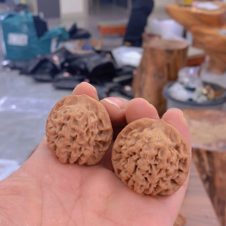 惊*_秦岭山脉的小王核桃