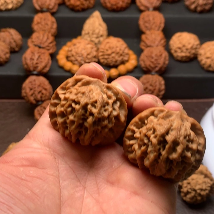 ?****?秦岭山脉的小王核桃