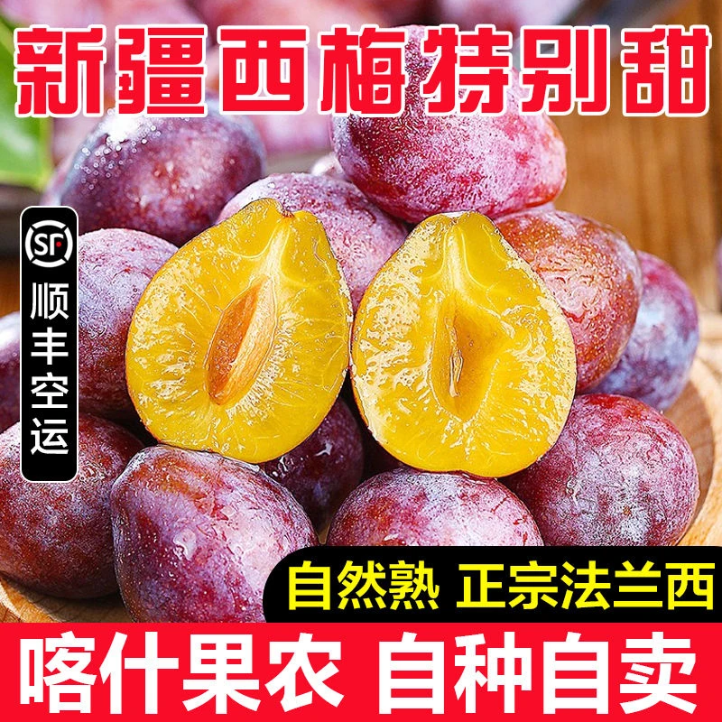 正宗新疆伽师法兰西西梅3斤新鲜水果生鲜爆甜多汁孕妇老人整箱