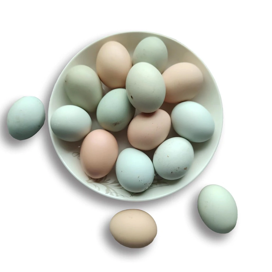 山里娃正宗土鸡蛋生态养殖果林跑山鸡纯粮食喂养鸡蛋