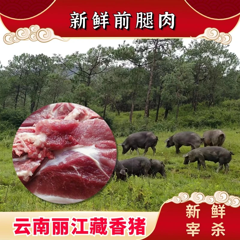 散养饲养藏香猪新鲜现杀猪前腿新鲜包邮4斤6斤装藏香猪