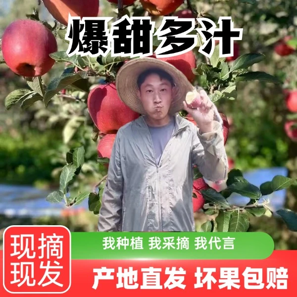 昭通高原2001丑苹果自家果园新鲜采摘严格挑选香甜可口自然成熟