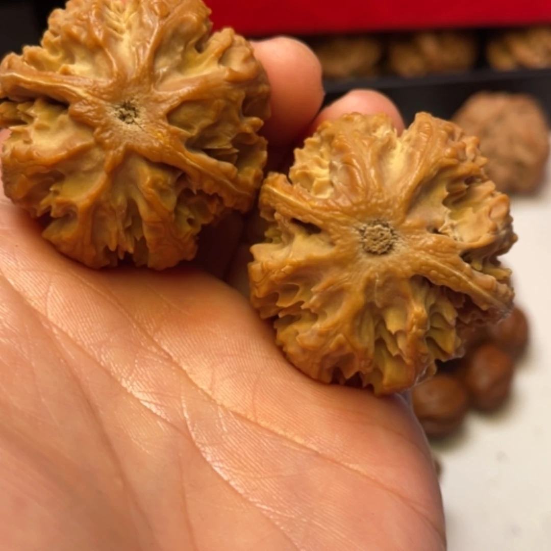 【闪购商品】文玩核桃把件秦岭山脉的南