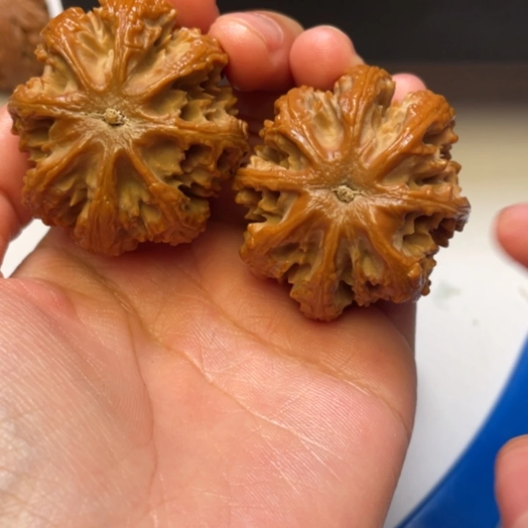 【闪购商品】文玩核桃吊坠秦岭山脉核桃