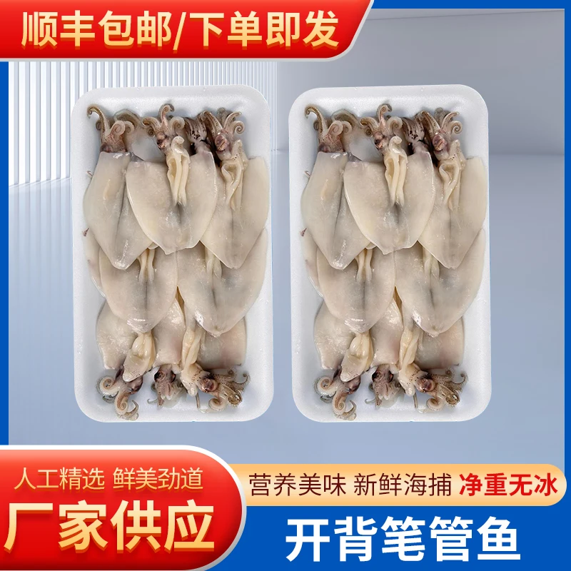 新鲜速冻开背笔管鱼去皮免清理去内脏冷冻海鲜整只开背笔管鱼