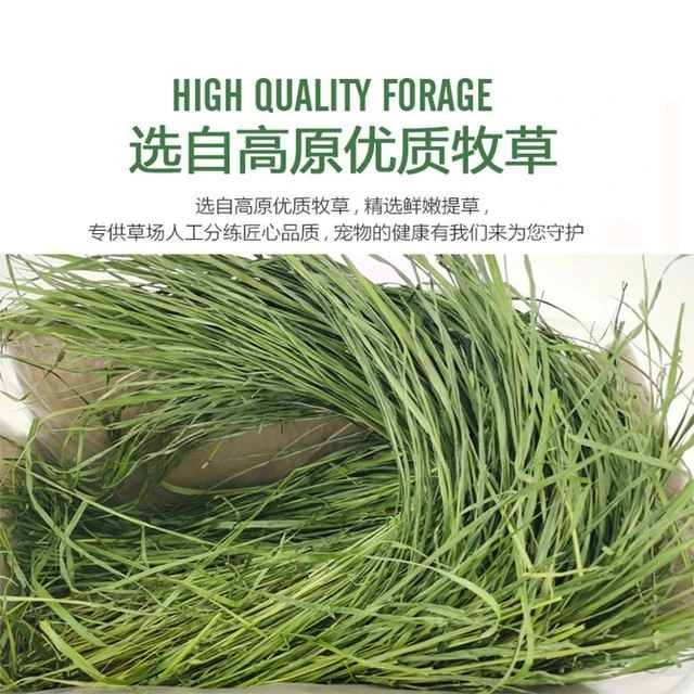 晒干提摩西干牧兔子龙猫荷兰猪豚鼠磨牙主食兔营养提摩西